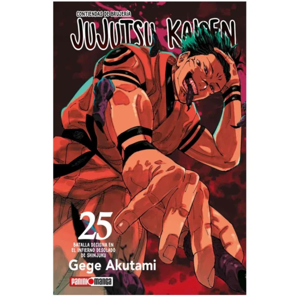 Jujutsu Kaisen No.25